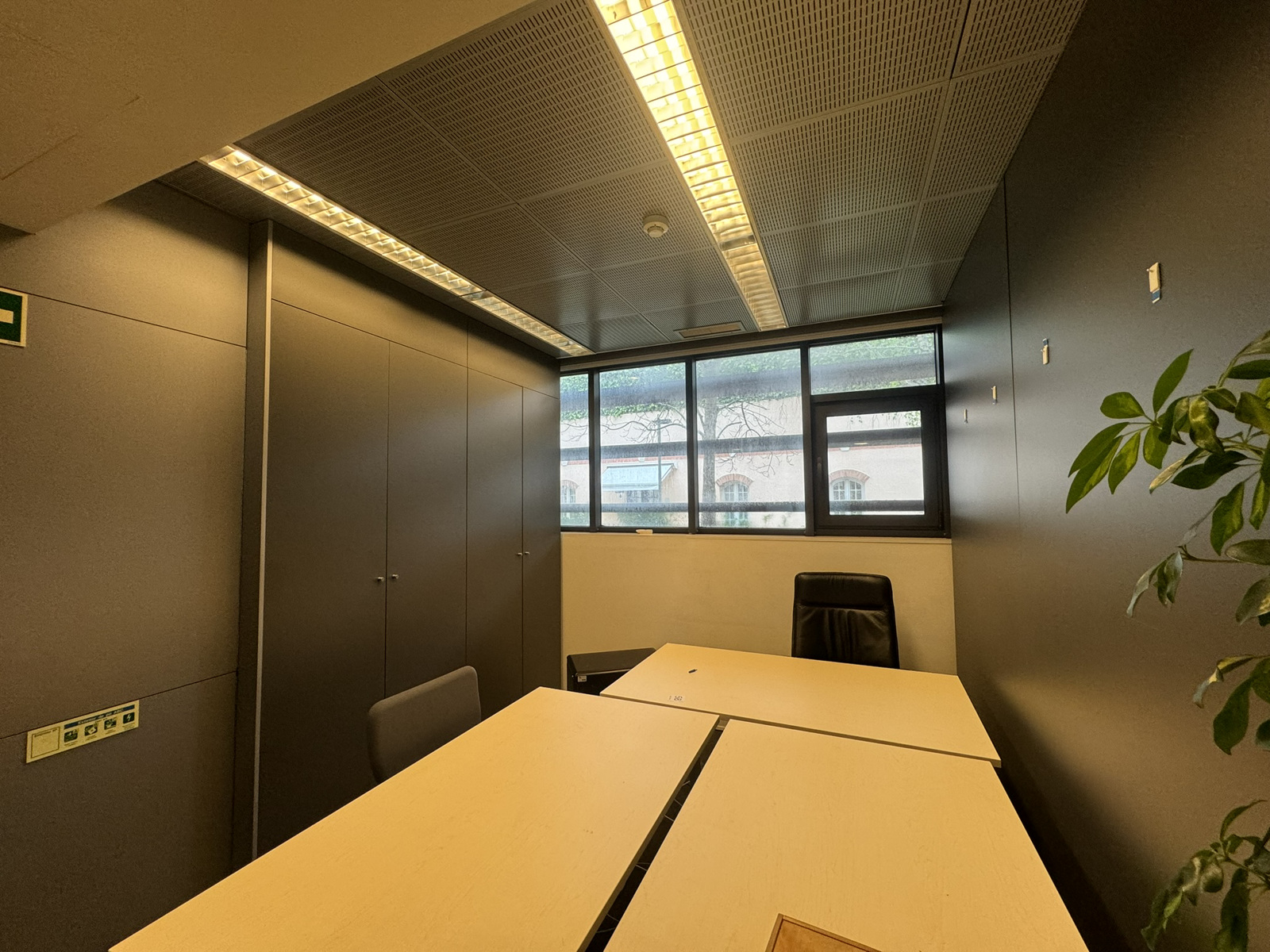 São caetano à lapa 6 5